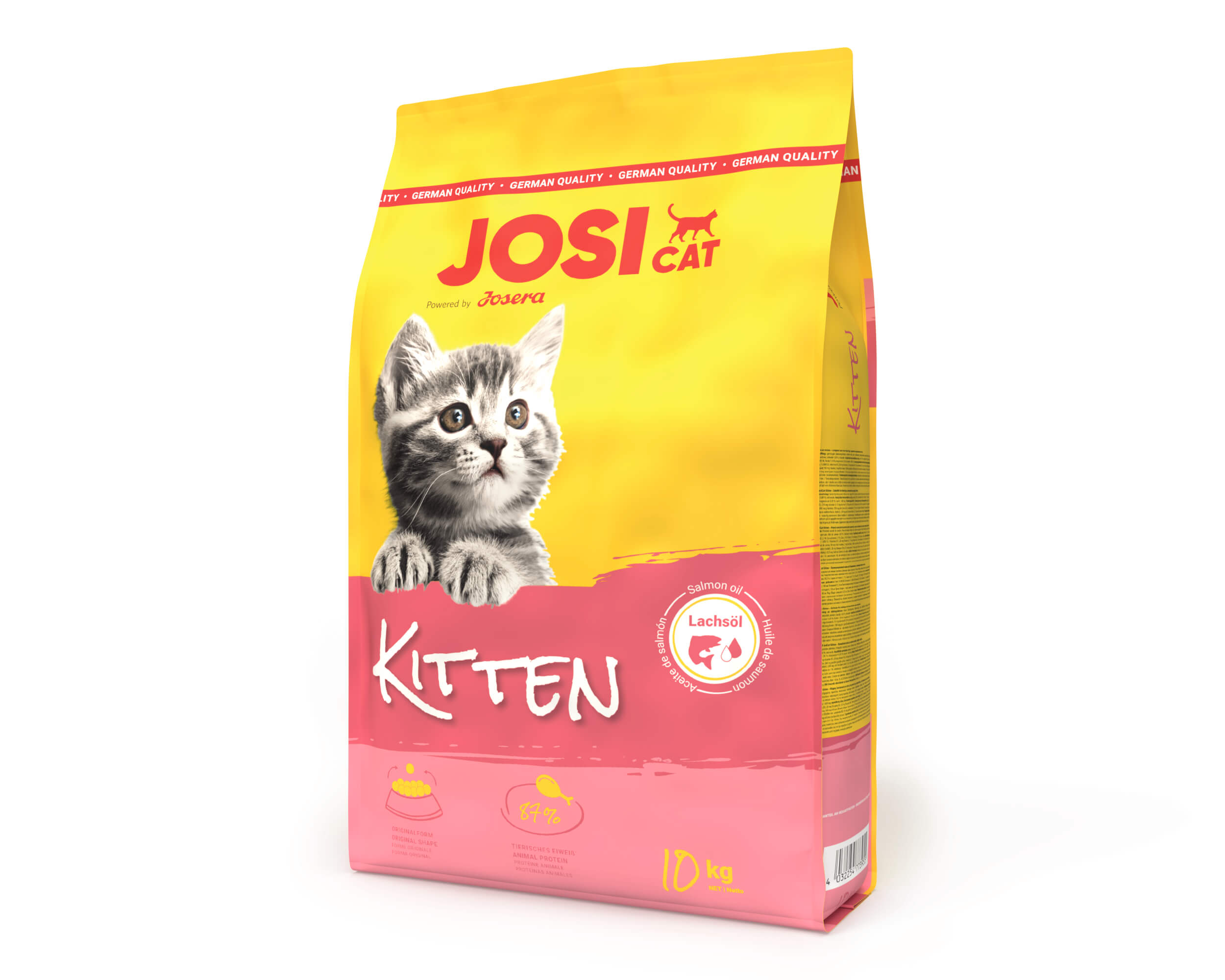 JosiCat Kitten