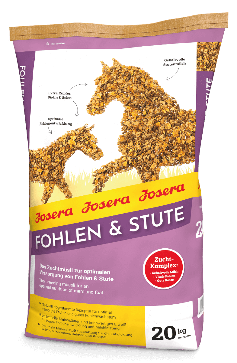Josera Fohlen & Stute