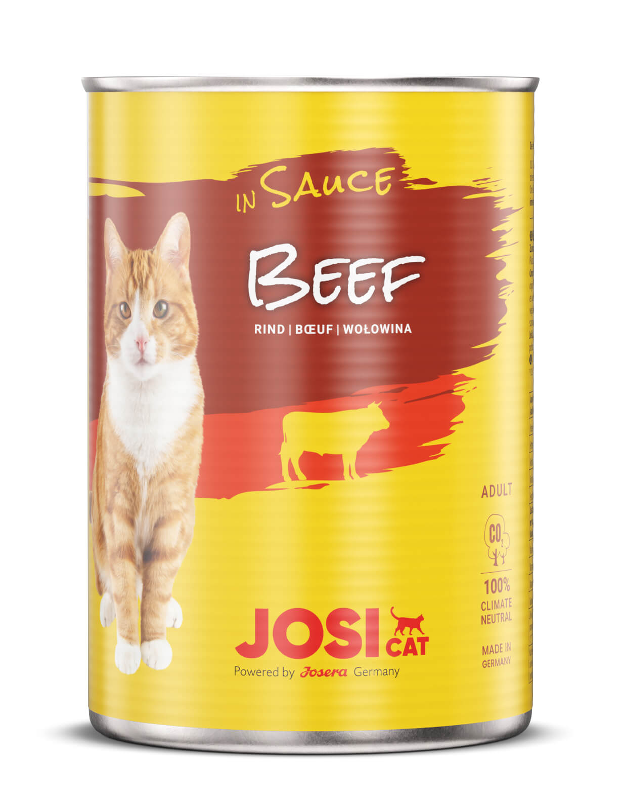 JosiCat Beef In Sauce