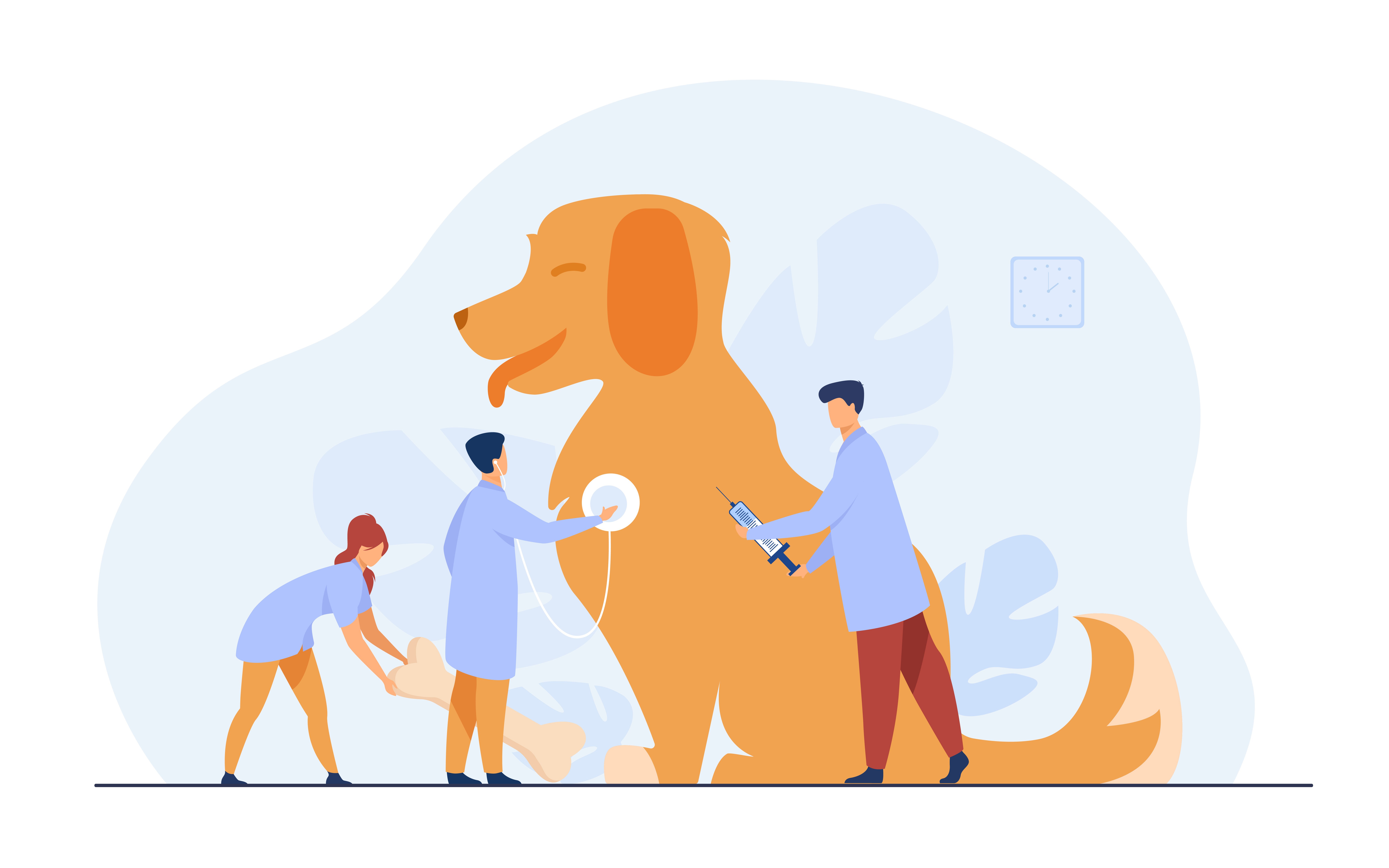 A kutyák egészsége és gondozása