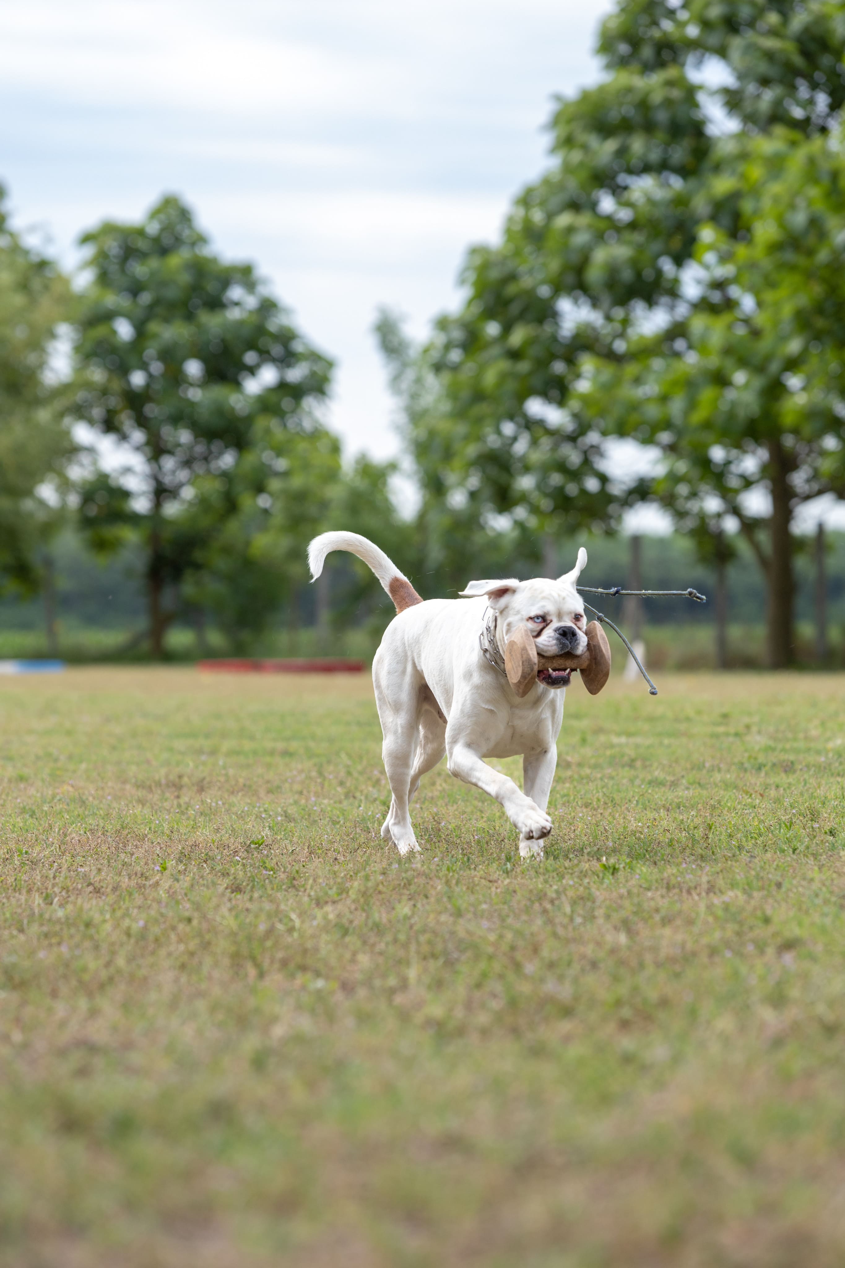 Közös edzés, szeminárium, főzés