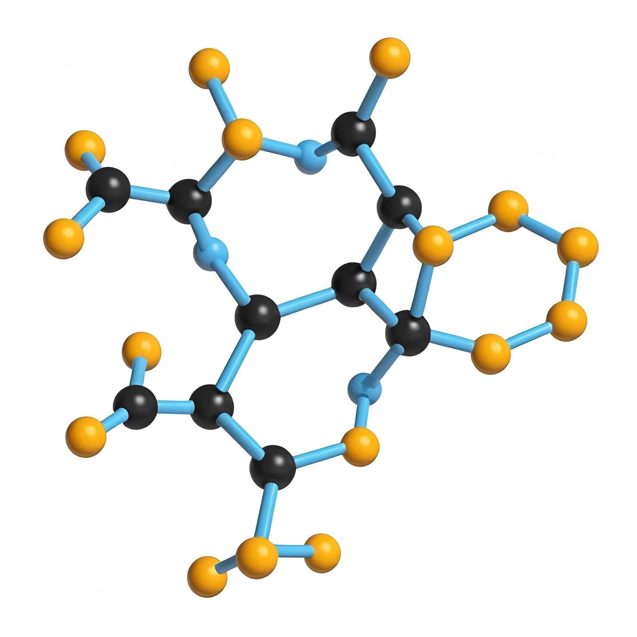 A vitaminok szerepe a kutya táplálásában
